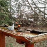 photo 2022-03-17 10-13-29