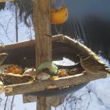 photo 2019-01-27 09-52-08