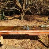 photo 2021-10-27 10-51-19