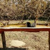 photo 2021-03-11 10-33-39