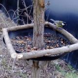 photo 2019-01-03 07-55-32