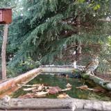 photo 2023-10-02 09-01-40