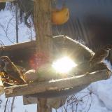 photo 2019-01-27 10-10-51