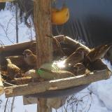 photo 2019-01-27 10-09-41