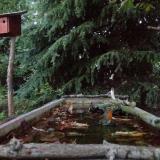 photo 2023-10-09 18-07-05