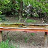 photo 2021-04-29 08-51-53