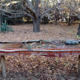 photo 2021-10-25 07-58-18