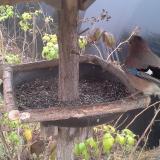 photo 2019-12-12 11-49-18