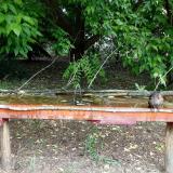 photo 2021-05-25 10-34-24