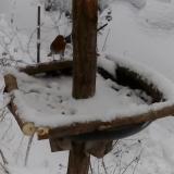 photo 2019-01-05 14-14-53