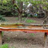 photo 2021-04-20 12-29-18