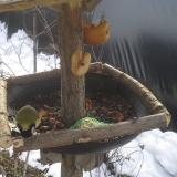 photo 2019-01-31 10-26-47