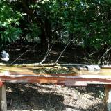 photo 2021-09-06 09-10-07