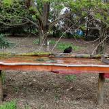 photo 2021-04-17 16-48-30