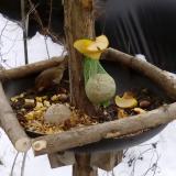 photo 2019-01-13 12-41-07