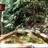 photo 2023-10-11 13-18-22