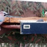 photo 2021-02-21 07-18-13