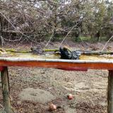 photo 2021-03-15 08-58-34