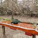 photo 2021-03-25 09-36-04