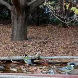 photo 2021-10-19 16-35-41 szencinegek