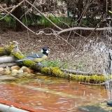 photo 2021-04-03 12-24-36 cinke