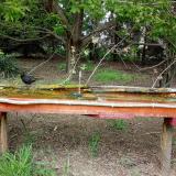 photo 2021-04-28 15-23-10