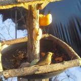 photo 2019-01-29 15-43-02