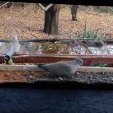 photo 2021-11-08 14-16-22