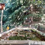 photo 2023-10-06 11-11-54