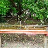 photo 2021-05-13 12-53-57