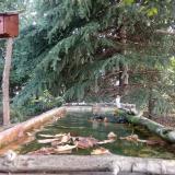 photo 2023-10-02 09-02-39