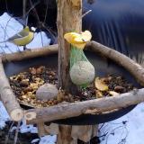 photo 2019-01-14 11-46-15