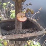 photo 2019-12-05 12-44-03