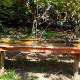 photo 2021-04-24 12-20-50