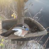 photo 2019-12-29 08-23-43