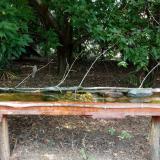 photo 2021-08-23 12-33-11