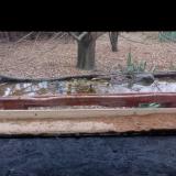 photo 2021-11-26 10-25-40