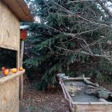 photo 2021-12-22 09-28-01