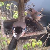 photo 2019-12-12 12-59-51