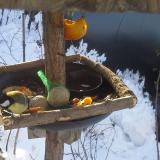 photo 2019-01-26 08-52-20