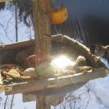 photo 2019-01-27 10-09-06