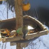 photo 2019-01-27 10-01-21