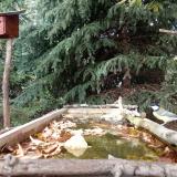 photo 2023-10-07 14-58-55