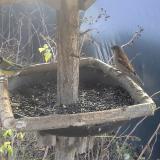 photo 2019-12-25 11-35-37