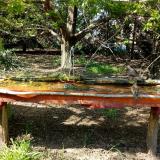 photo 2021-04-24 15-40-45