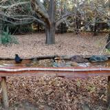 photo 2021-10-26 07-54-53