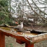 photo 2022-03-17 10-11-35