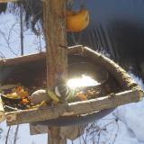 photo 2019-01-27 10-04-58