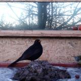 photo 2022-01-21 07-11-54