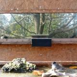 photo 2023-10-26 14-24-59